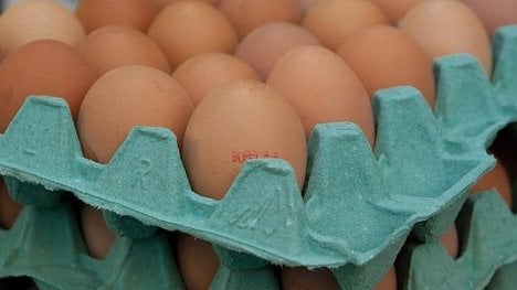 Náhledový obrázek - Slovenští veterináři našli u vařených vajec z Česka jedovatý insekticid