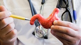 Náhledový obrázek - Gastroenterologie zodpoví otázky týkající se bolesti břicha, pálení žáhy i střevních zánětů