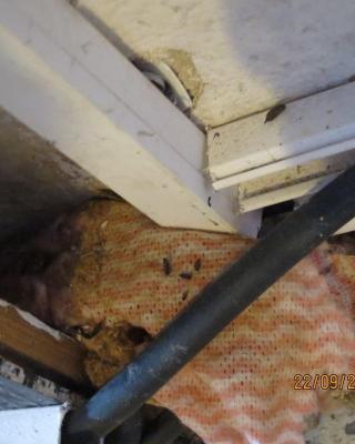 Jídelna U Karoušků, Mratín