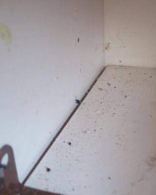 Jídelna U Karoušků, Mratín