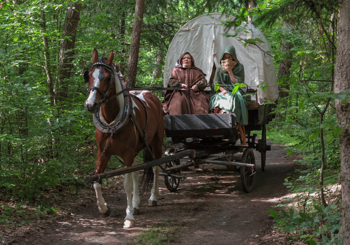 Duch nad zlato: štědrovečerní pohádka České televize