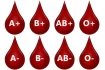 Co se AB0 systému týče, rozlišujeme celkem 4 základní skupiny, a to 0, A, B a AB. U těchto skupin se liší výskyt aglutinogenů A a B, které se nacházejí na povrchu červené krvinky.