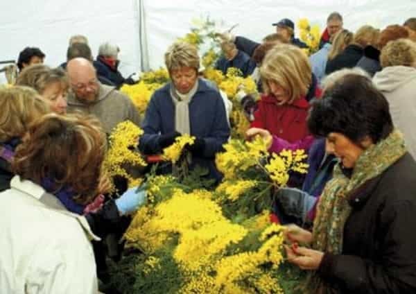 2016-10-vc3adtejte-v-mandelieue28093la-napoule-v-krc3a1lovstvc3a