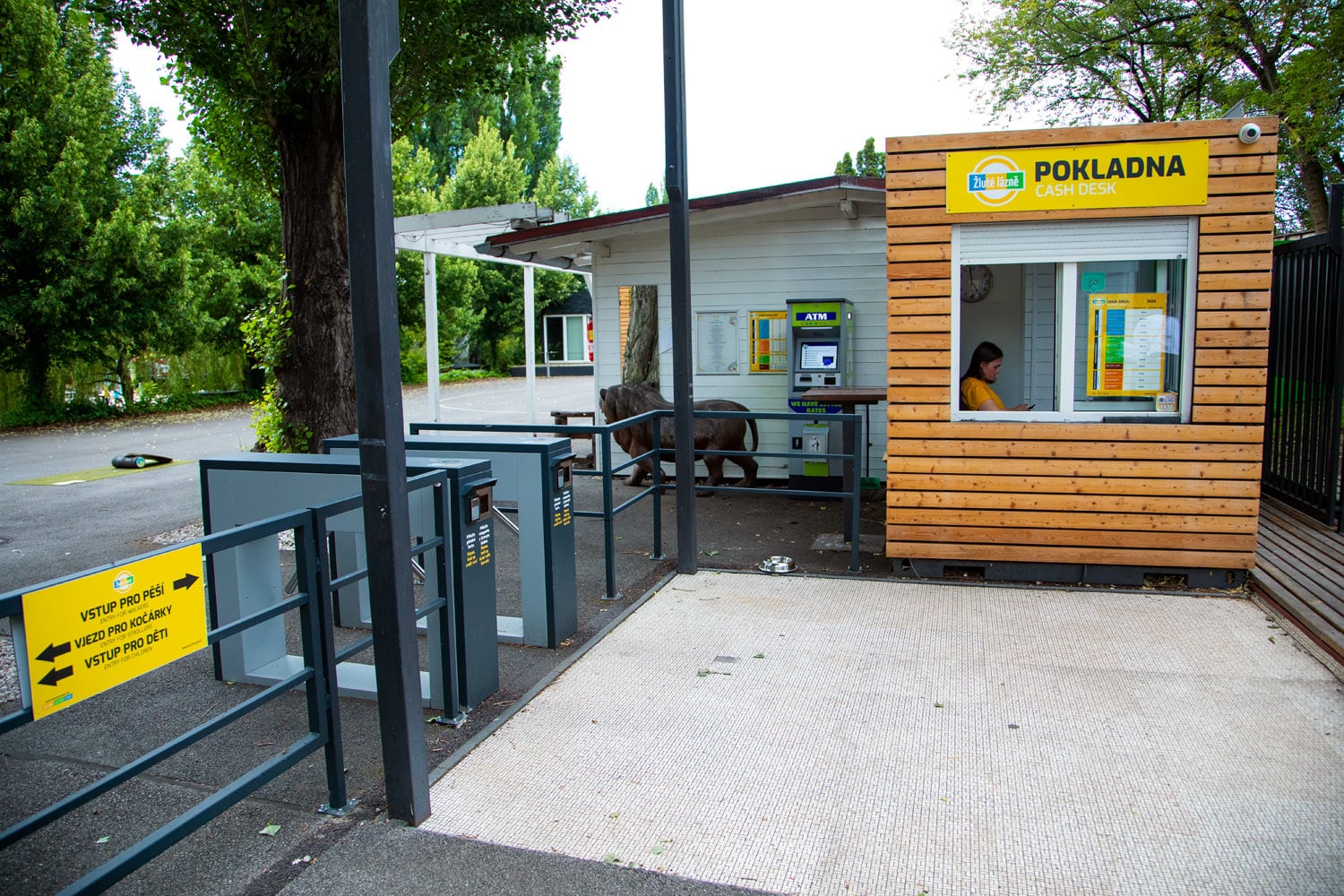 Klid a pohoda na pražských koupalištích. Davy nečekejte