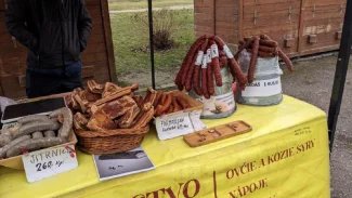 Ilustrační obrázek