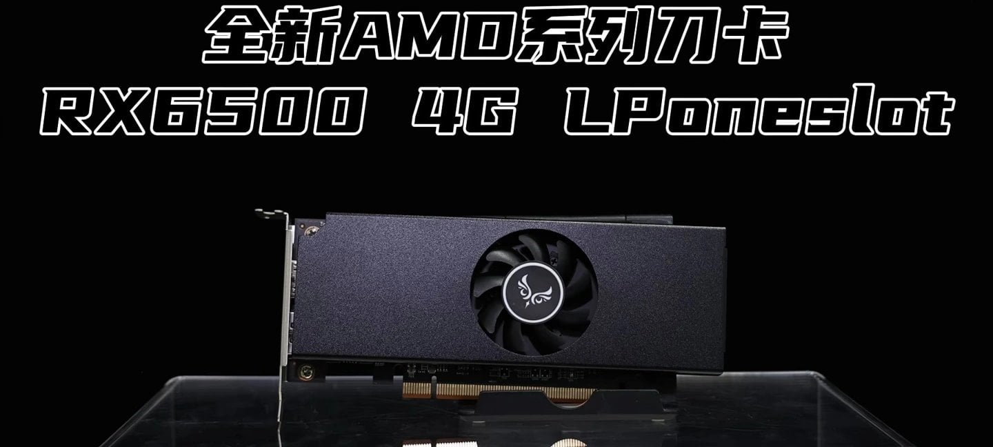 Radeon RX 6500 LPoneslot od Zephyru