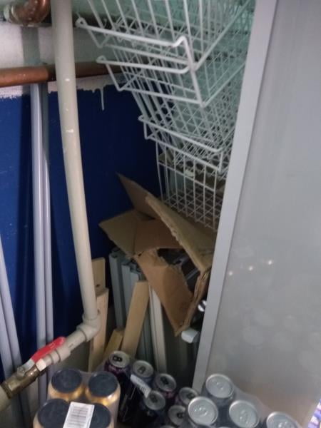 Výskyt myšího trusu a mrtvých myší. Výrazně zanedbaný úklid a výrazné znečištění všech prostor, nečistoty na podlaze, regálech či zařízeních. Nesprávná hygienická praxe, nevhodně skladované potraviny.