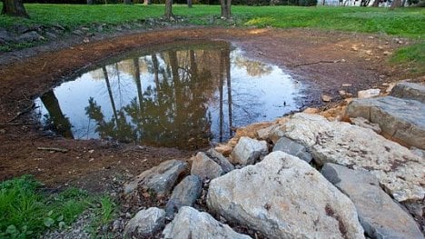 Náhledový obrázek - Praha 6 vyhlásila stav klimatického ohrožení, instaluje vodní prvky i nabíjecí stanice