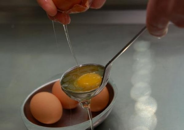 2011-04-mladc3bd-zelenc3bd-chc599est-se-zastc599enc3bdm-bio-vejc