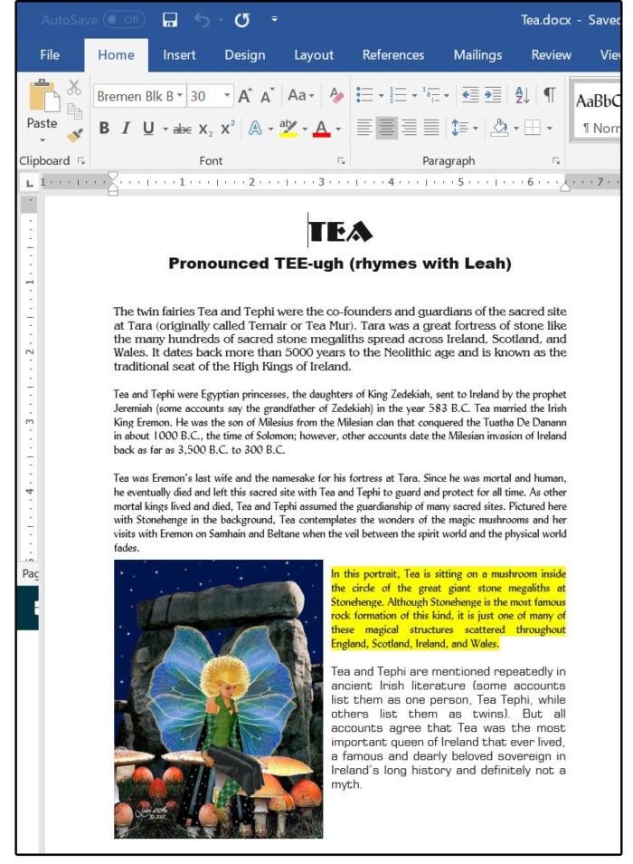 Úprava textu a uspořádání dokumentu ve formátu PDF v prostředí programu MS Word