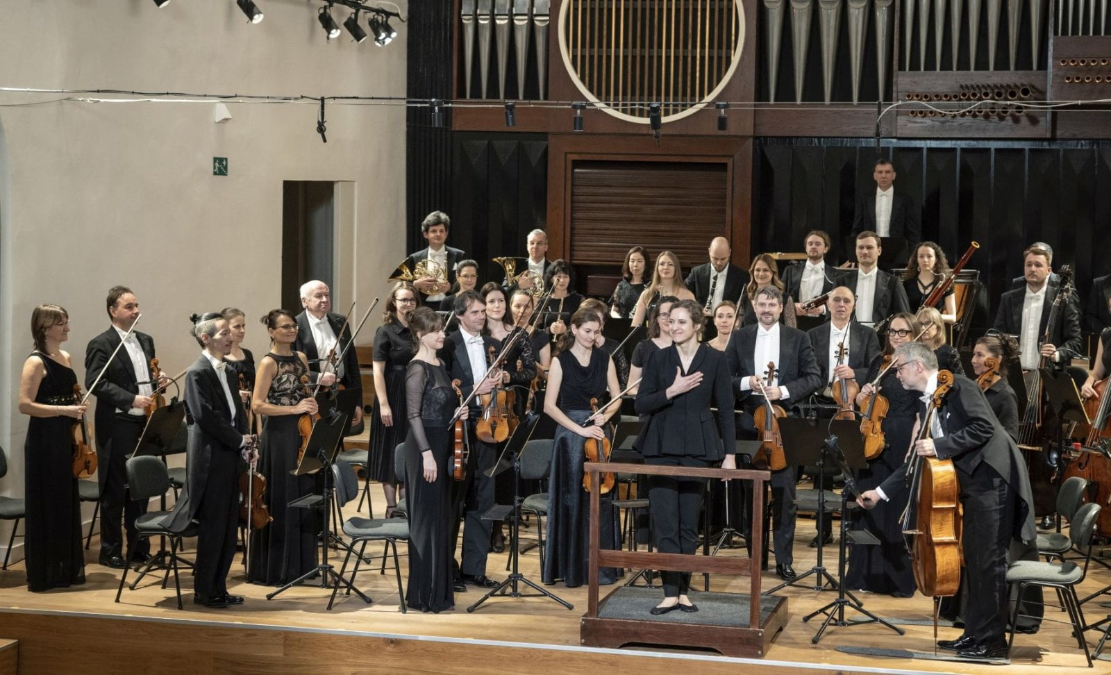 Dešťová hůl (Česká televize)