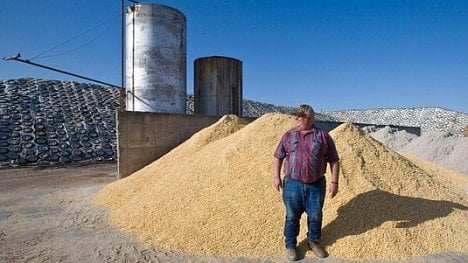 Náhledový obrázek - Farmáři a politika. Jak to bude s auty a zemědělským dovozem?