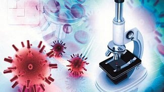 Náhledový obrázek - Studie: Virus zika může způsobovat paralýzu