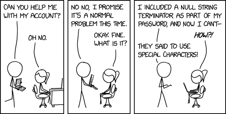 Autor: <a href="https://xkcd.com/">Randall Munroe</a>, podle licence: <a href="http://creativecommons.org/licenses/by-nc/2.5/">CC BY-NC 2.5</a> My password is just every Unicode codepoint concatenated into a single UTF-8 string.