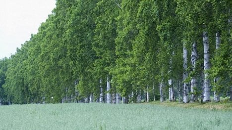 Náhledový obrázek - Cizinci mají otevřenou cestu k českým pozemkům