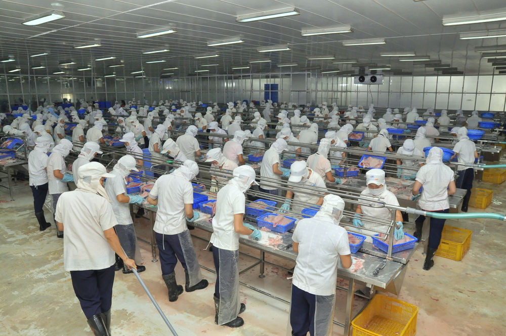 Takhle se zpracovávají mořské plody ve Vietnamu