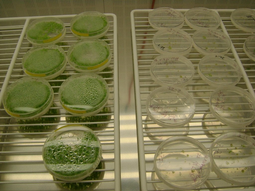 2019-02-centrum-regionu-hanc3a1-pro-biotechnologickc3bd-a-zemc49