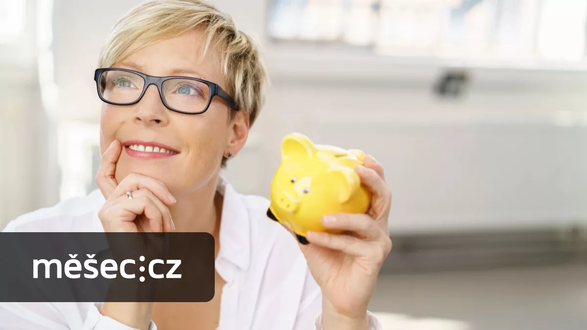 DlP po roce na trhu. Jak láká větší svoboda při investování a daňová úleva?