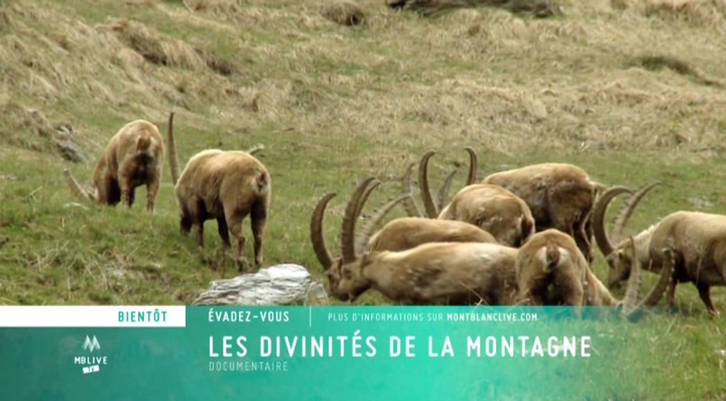 Nejzajímavější kanály během září