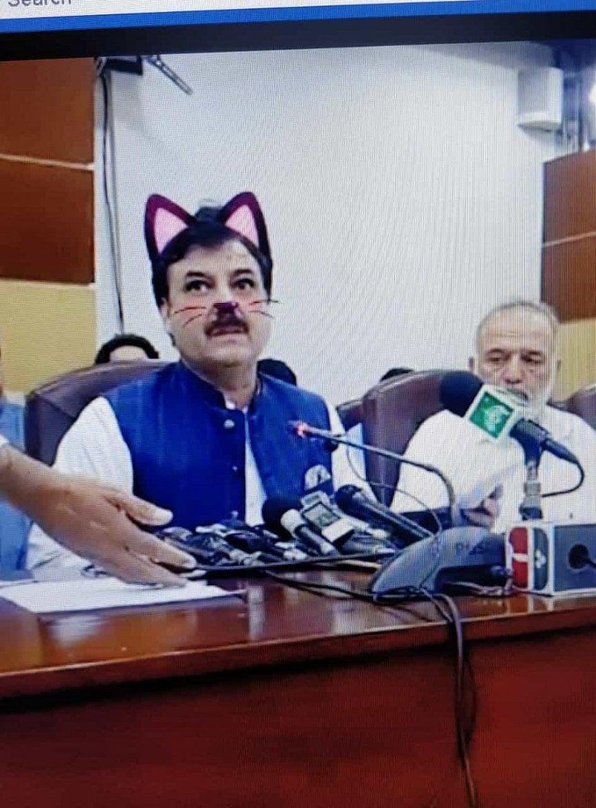 2019-06-Cat-filter-Pakistan-3.jpg