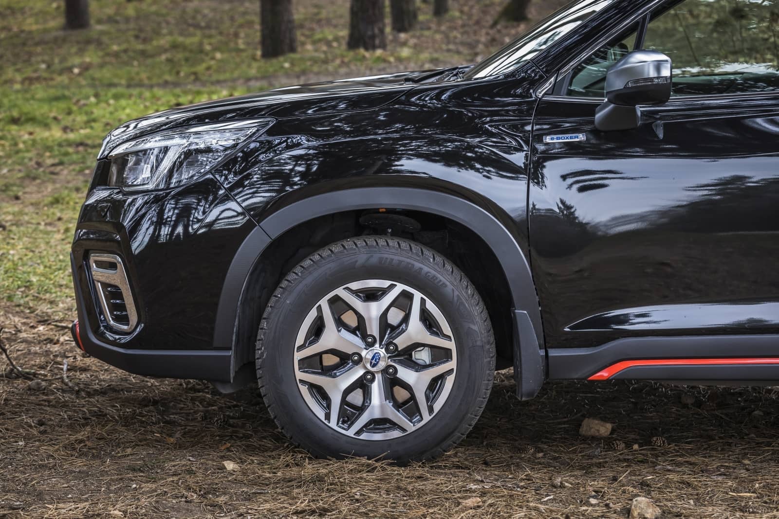 2020-04-aDMB2020_Forester-e-boxer-A7-6535.jpg
