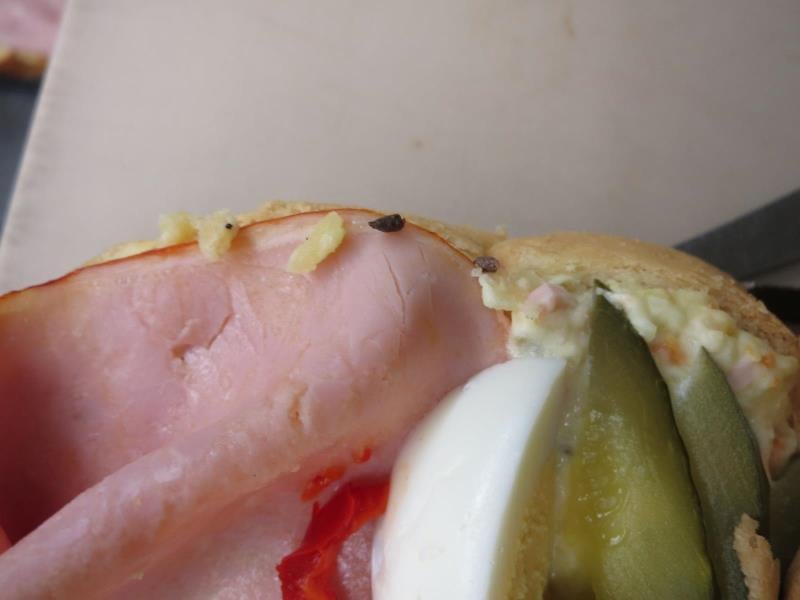 INPEKO, Ústí nad Labem: Chlebíček s cikánkou - v přepravce, ve které byly chlebíčky doručeny na provozovnu, pod papírem na dně přepravky a na některých chlebíčcích byl zjištěn výskyt myššího trusu. Na provozovně ani u jiných namátkově vybraných potravin nebyl výskyt myššího trusu zjištěn. Kontrolovaná osoba má zavedeny postupy pro preventivní likvidaci škůdců. Výrobce: Dorant, Ústí nad Labem