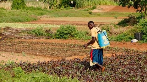 Náhledový obrázek - Afriku čeká kritický nedostatek úrodné půdy