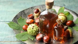 Náhledový obrázek - Jírovec maďal zdobí parky, aleje i zahrady. Z jeho semen se připravují léčivé tinktury a masti