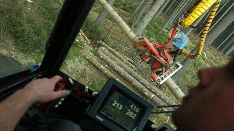 Náhledový obrázek - Stop problémovým firmám. Lesy ČR z tendrů vyřadí nekvalitní uchazeče