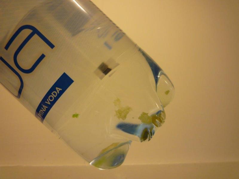 Co se dá zkazit na vodě? Tyto byly kontaminovány cizorodými látkami, s patrným zeleným zákalem a sedlinou