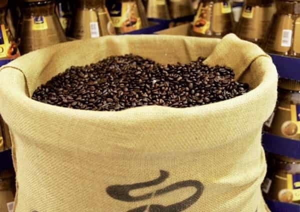 2018-08-putovc3a1nc3ad-za-olivami-aneb-vc3a1noc48dnc3ad-mystery-