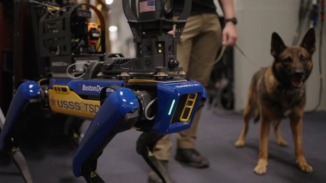 Budou mít „sekuriťáci“ co žrát? Robopsi přebírají dohled nad datovými centry, šetří peníze a pracují 24/7