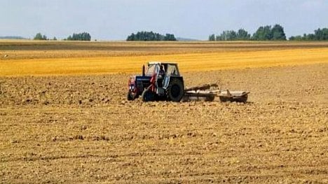 Náhledový obrázek - Zemědělci slaví, čekají je rekordní zisky