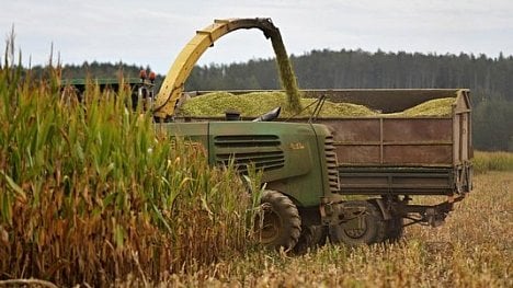 Náhledový obrázek - Zemědělcům stoupl zisk na 11,7 miliardy, také díky dotacím