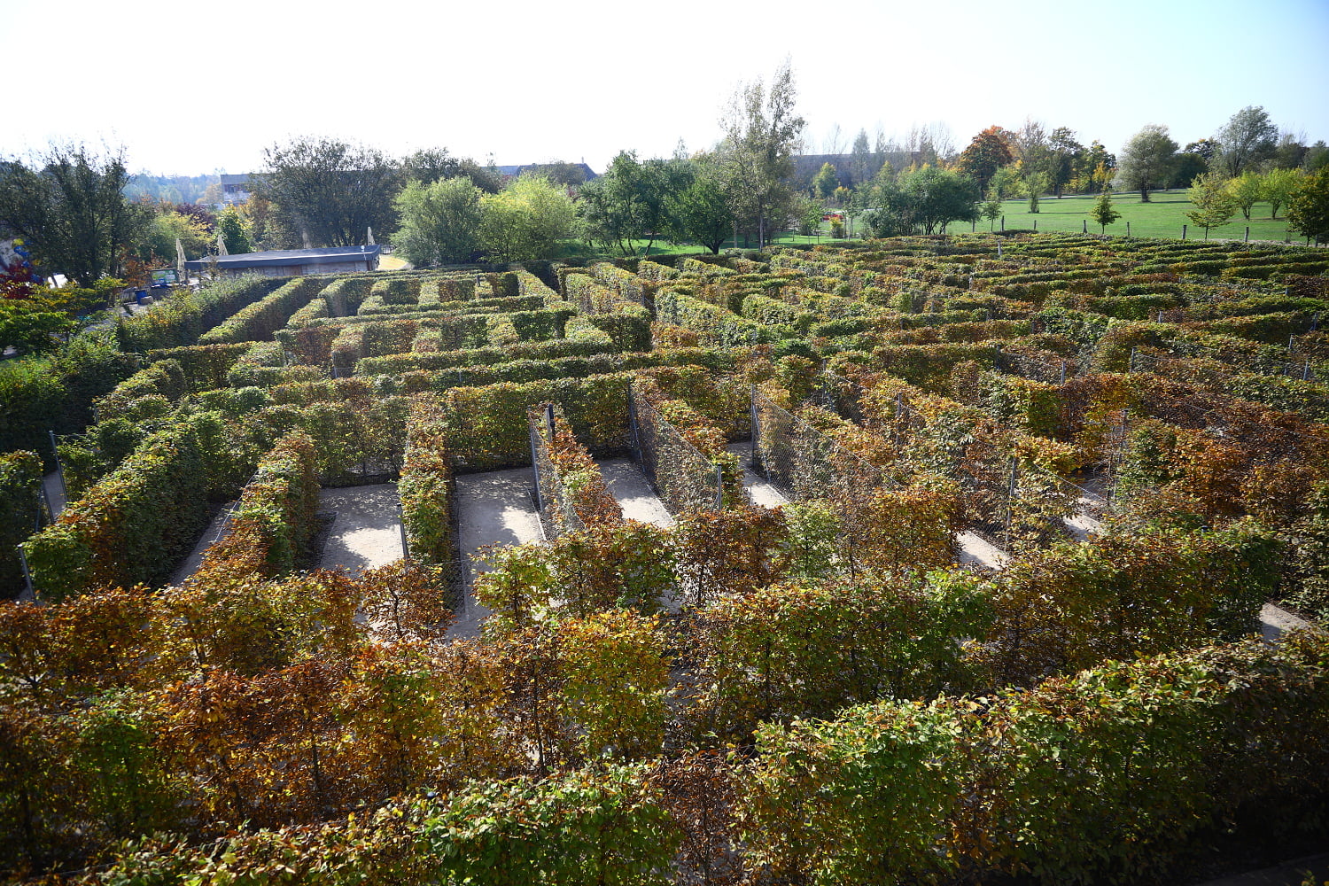 Rodinný park Mirakulum oživil středočeské Milovice