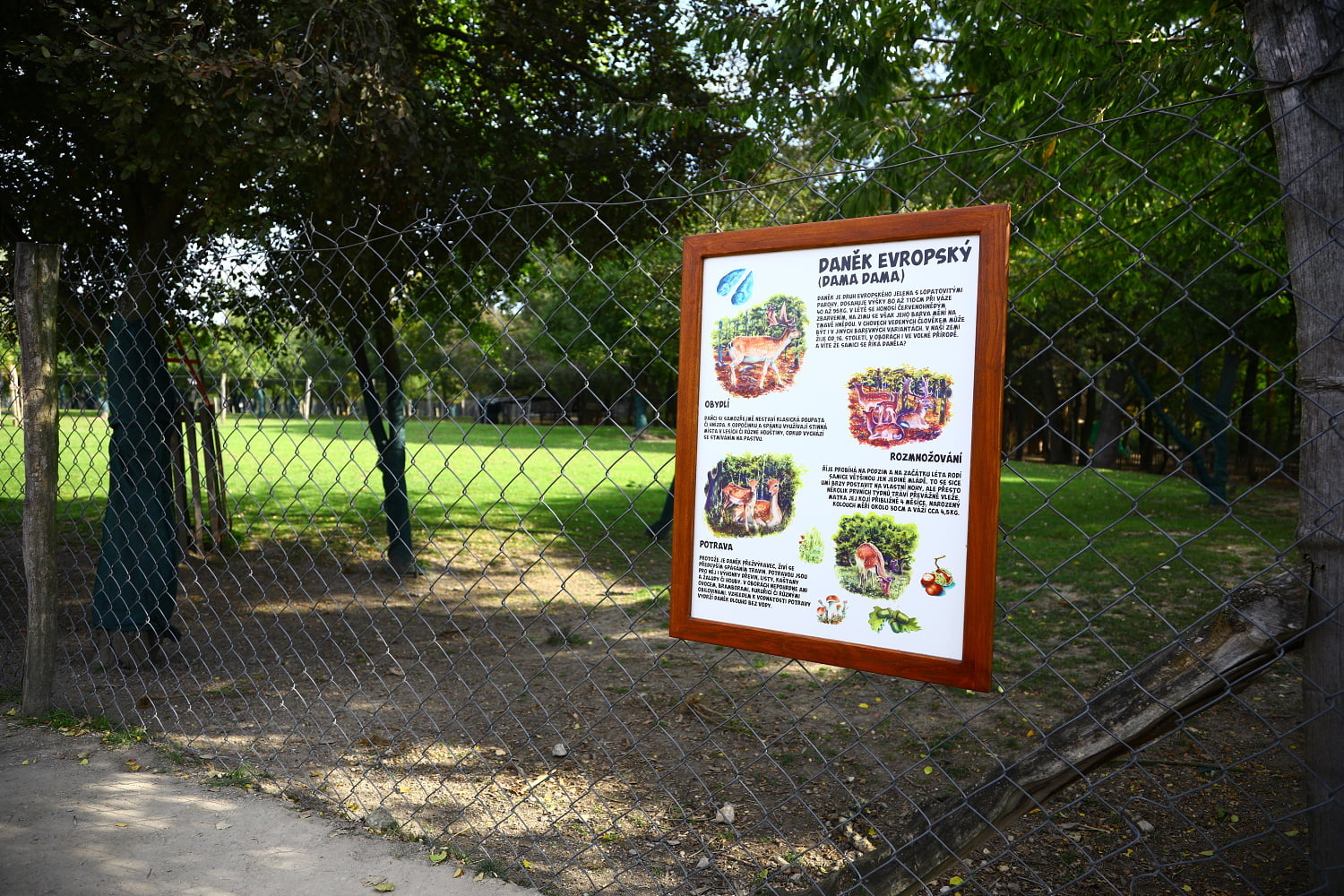 Rodinný park Mirakulum oživil středočeské Milovice