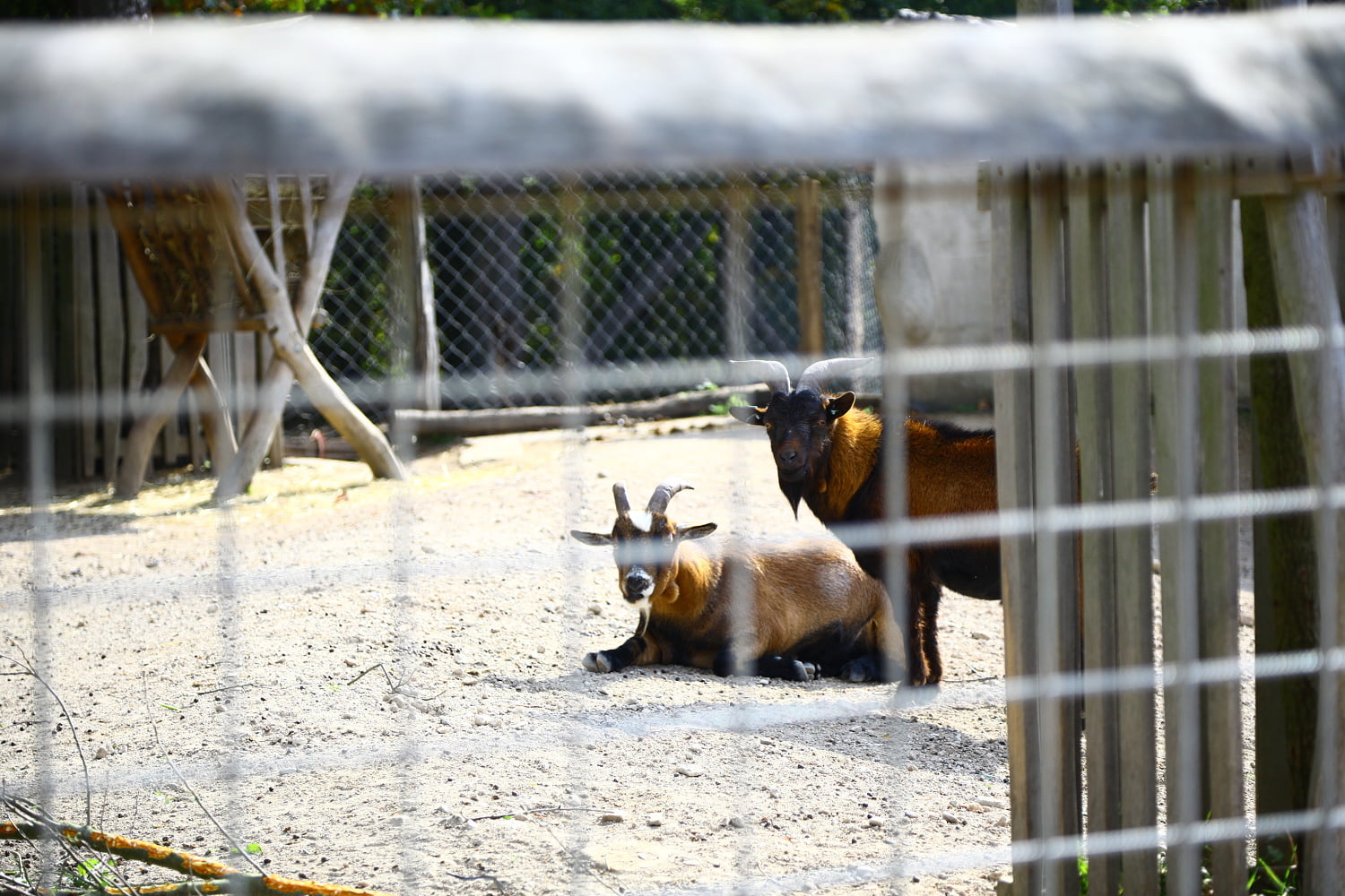 Rodinný park Mirakulum oživil středočeské Milovice