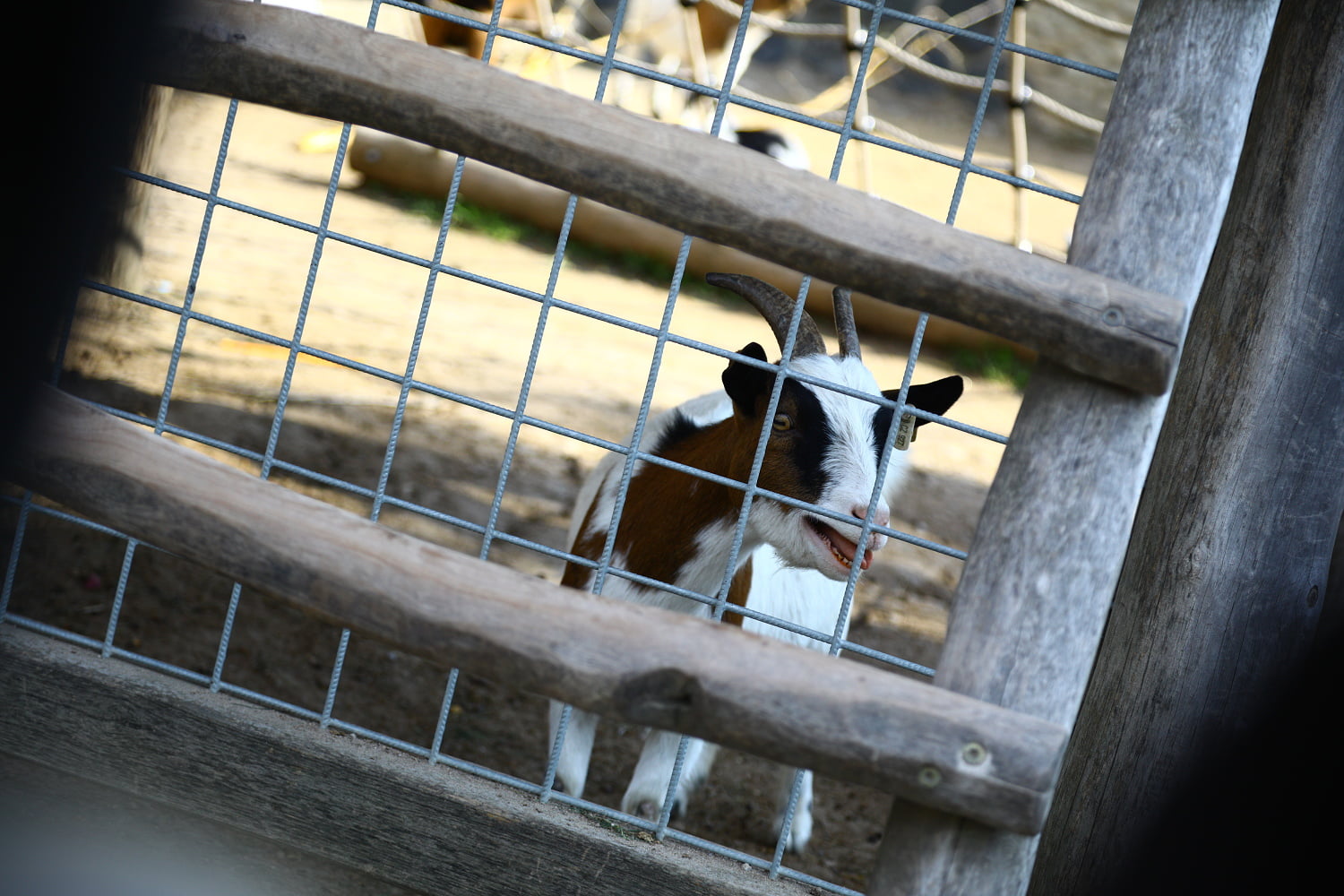 Rodinný park Mirakulum oživil středočeské Milovice