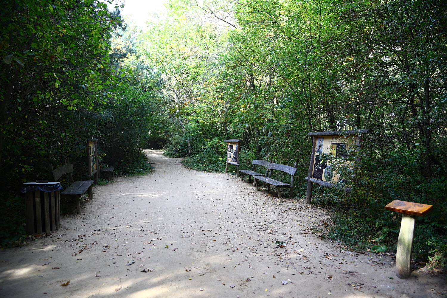 Rodinný park Mirakulum oživil středočeské Milovice