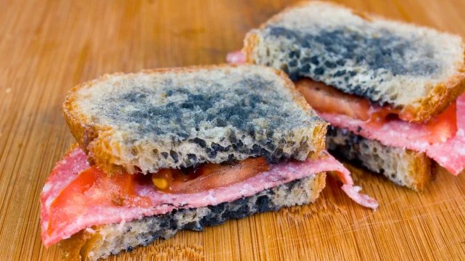 28.7.24 (1x) Plíseň