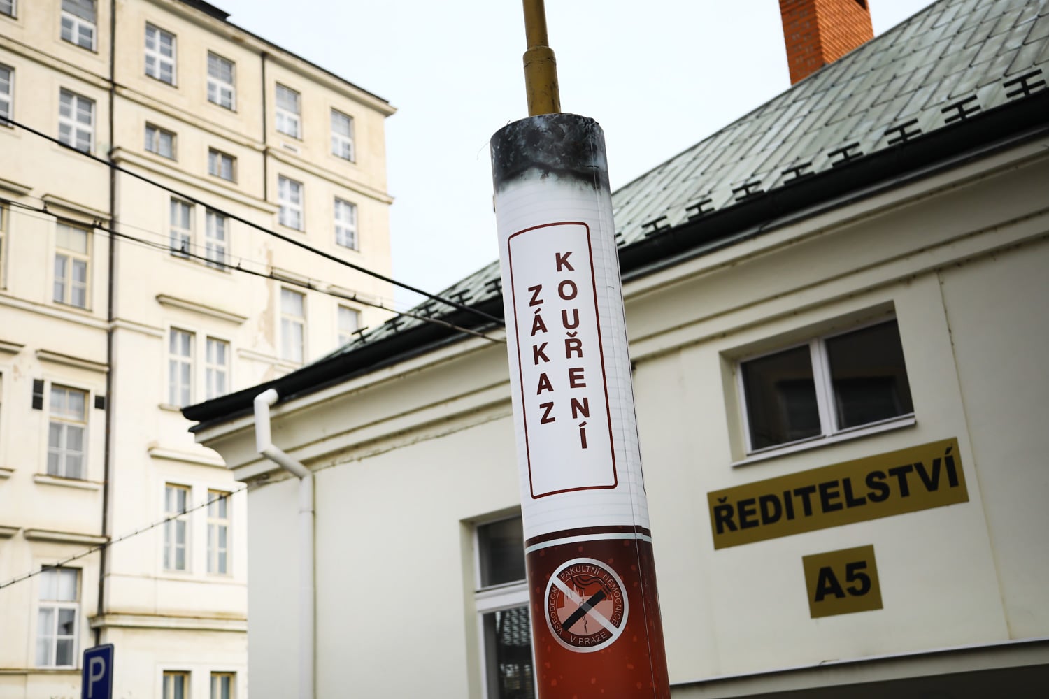 Nekuřácká nemocnice je slangové označení mezinárodního projektu podporovaného ministerstvem, jehož cílem je zdravotnické zařízení, kde se skutečně nekouří. Nikde.