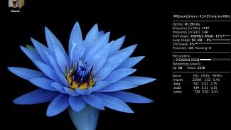 4MLinux 25.0