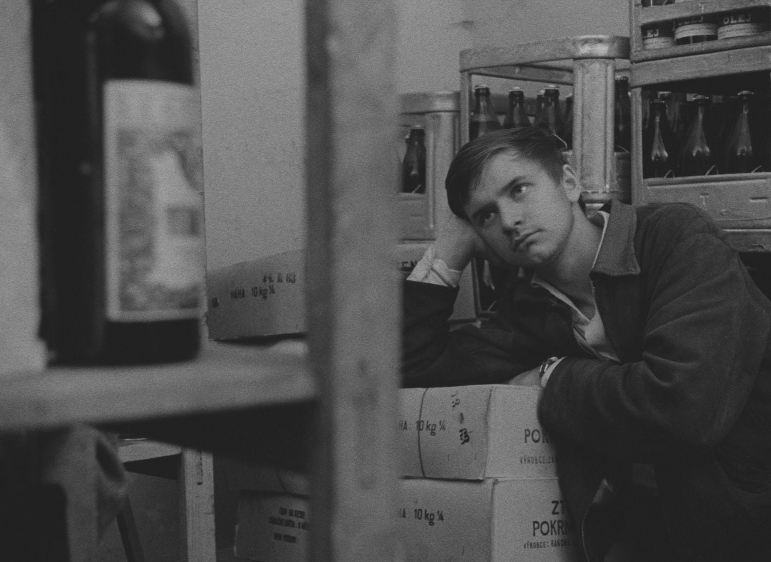 Černý Petr - digitálně restaurovaný, 2017