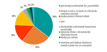 Z jakého důvodu jste si půjčili?