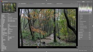 Darktable 5.0.0