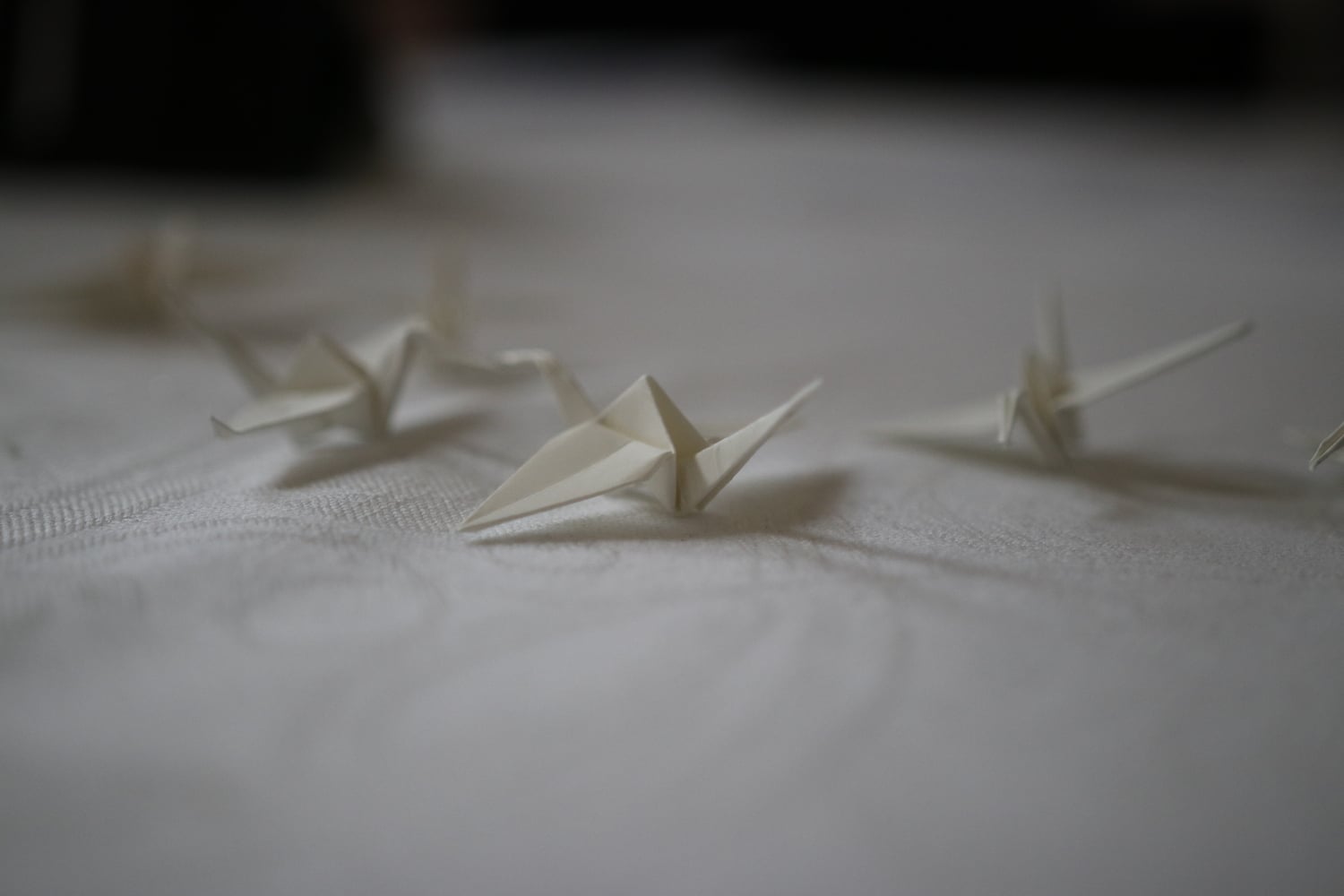 InstallFest 2019 (neděle)