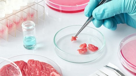 Náhledový obrázek - Řízek ze zkumavky. Izraelský startup spouští velkovýrobu masa z bioreaktoru