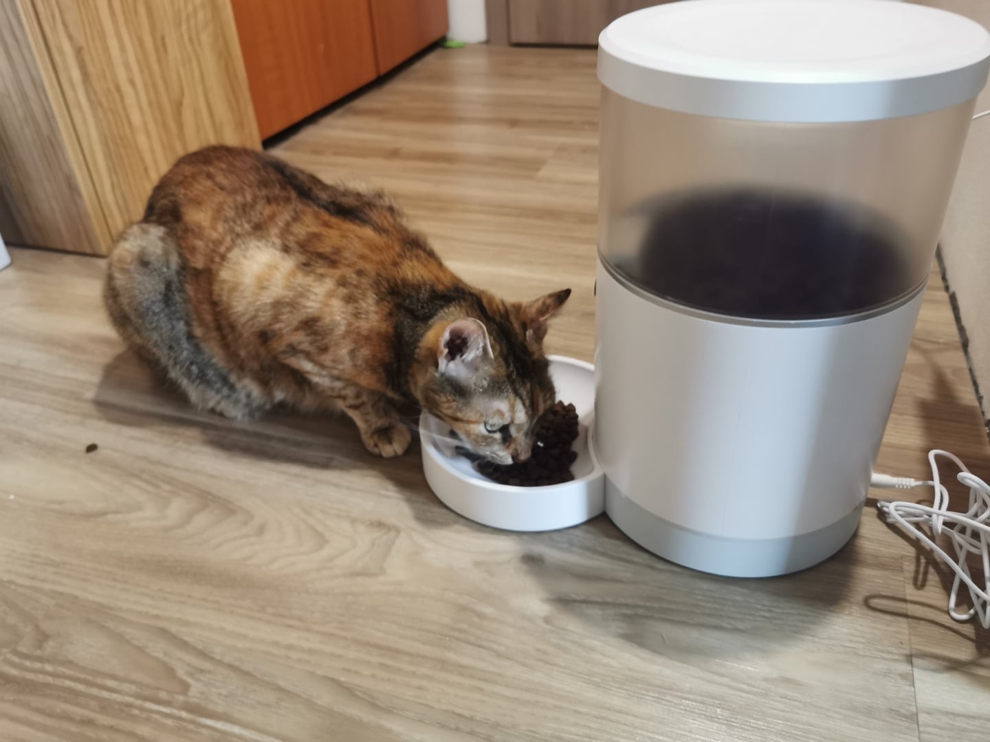 2021-08-Tesla-Smart-Pet-Feeder-Camera-recenze7.jpg