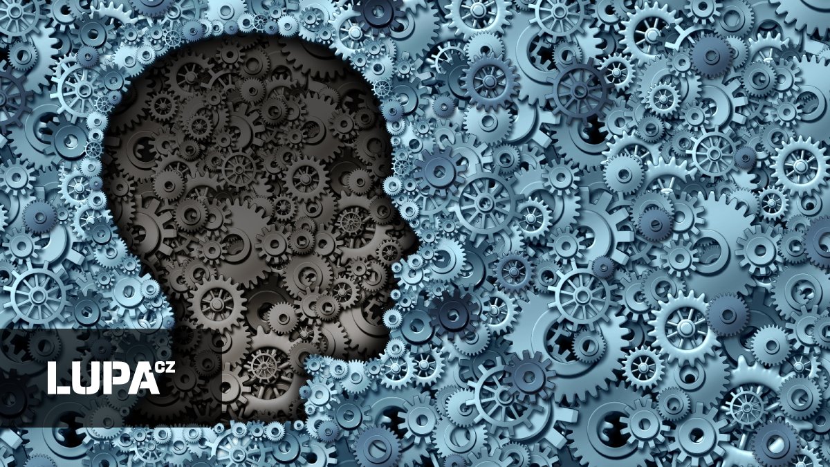 Méně řečí, více akce. A část startupů skončí. Tak vidí rok 2026 v AI čeští technologičtí hráči