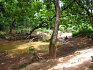 Foret de Kou. Bobo-Dioulasso.